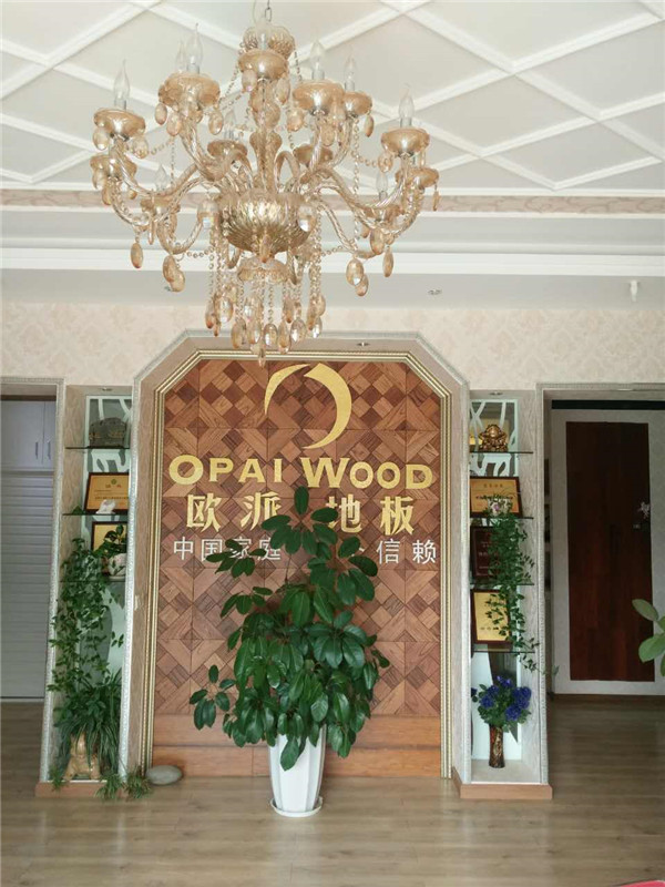 歐派地板加盟店活動(dòng)