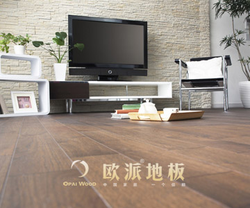 強(qiáng)化地板品牌