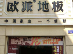 安徽桐城歐派地板加盟店