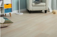 OPD-FS5201多層實木鎖扣地?zé)岬匕?/></a>
					<a href=