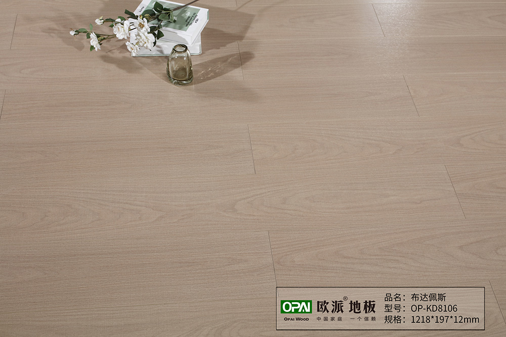 OP-KD8106布達(dá)佩斯